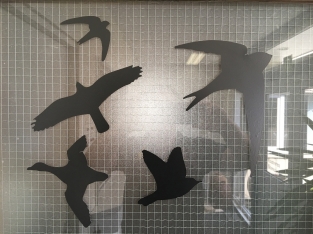 Raamstikkers in de vorm van vliegende vogels